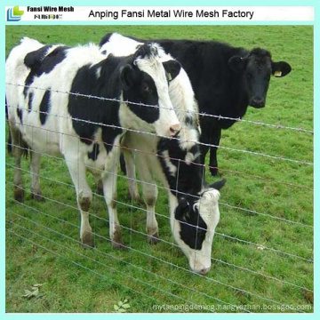 Cow Farming Fence/Grassland Fence/Farm Guard Field Fence